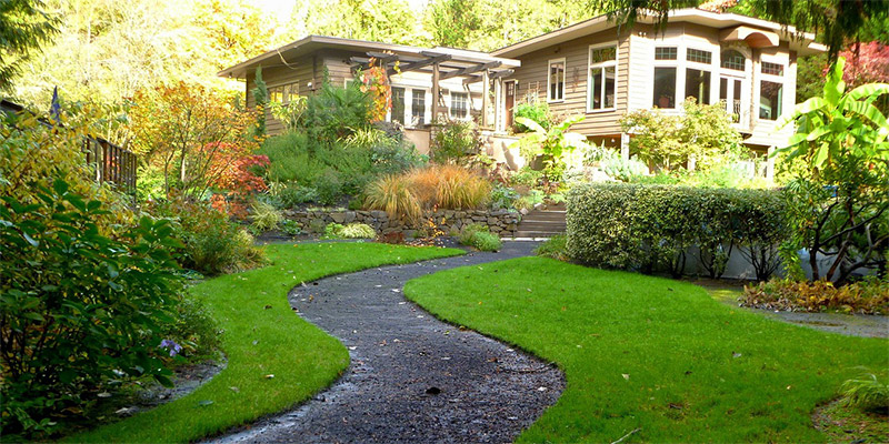 Walkway in the garden